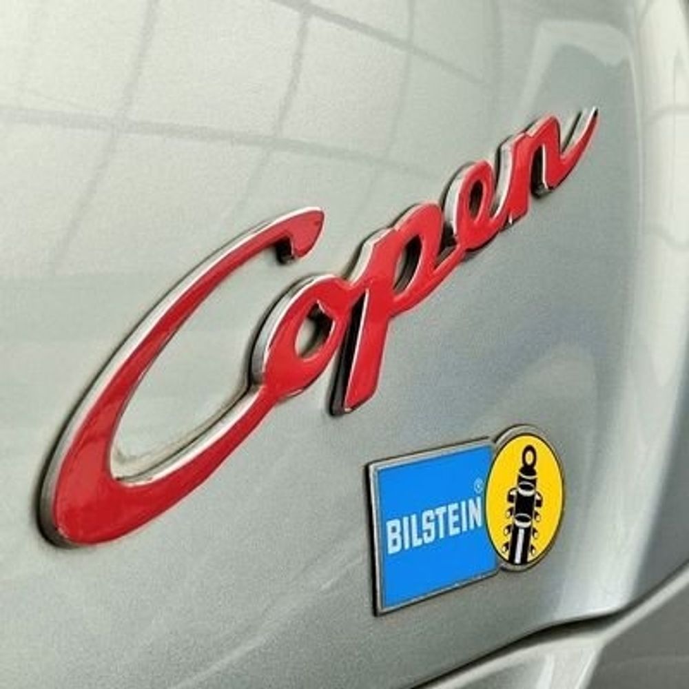 Carp_33_Copen
