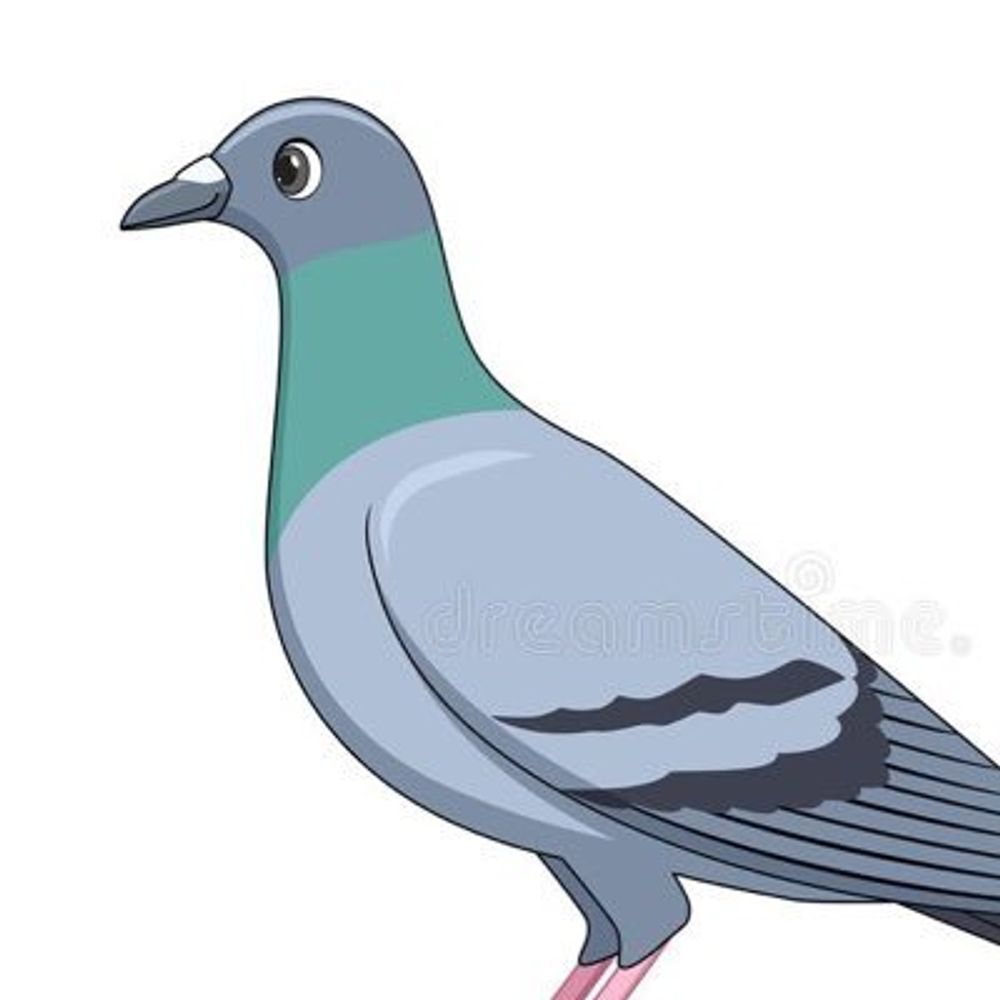 Profile picture pigeonxphoenix.bsky.social