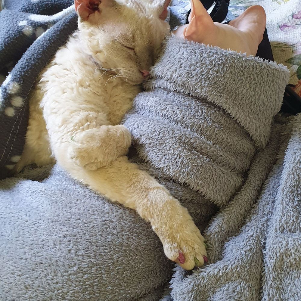 Nimoy&Okaye