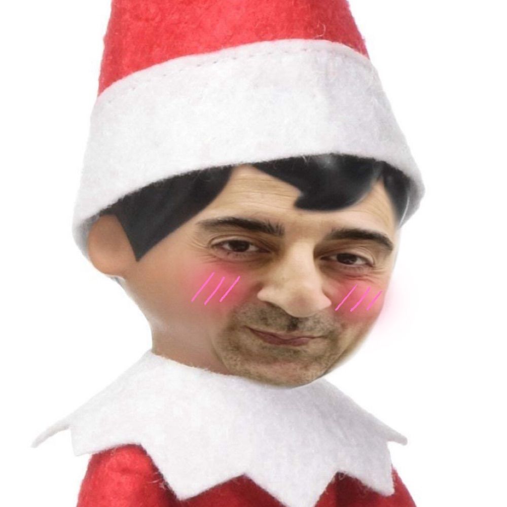 Amir On The Shelf
