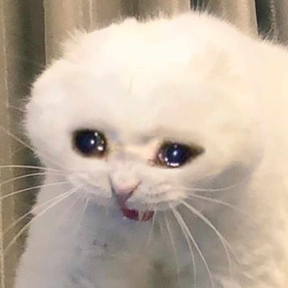 Neko