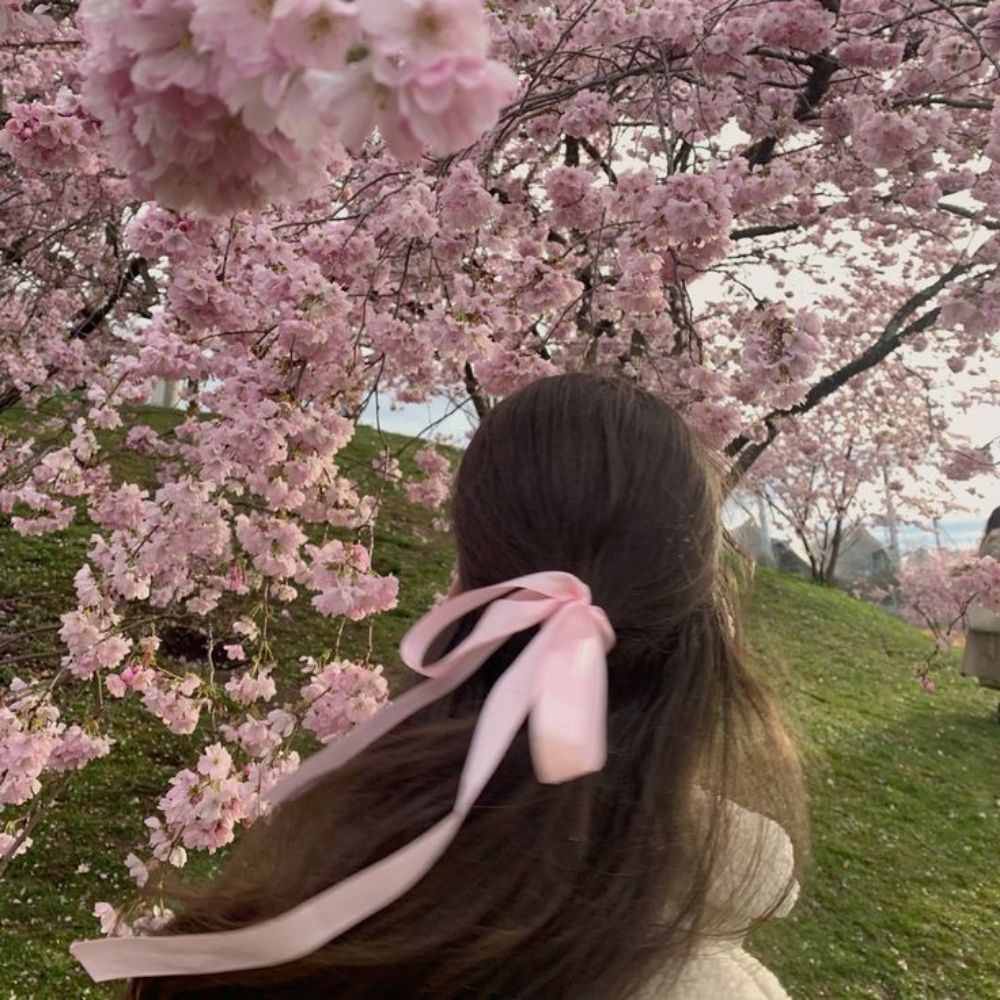 Pink sakura