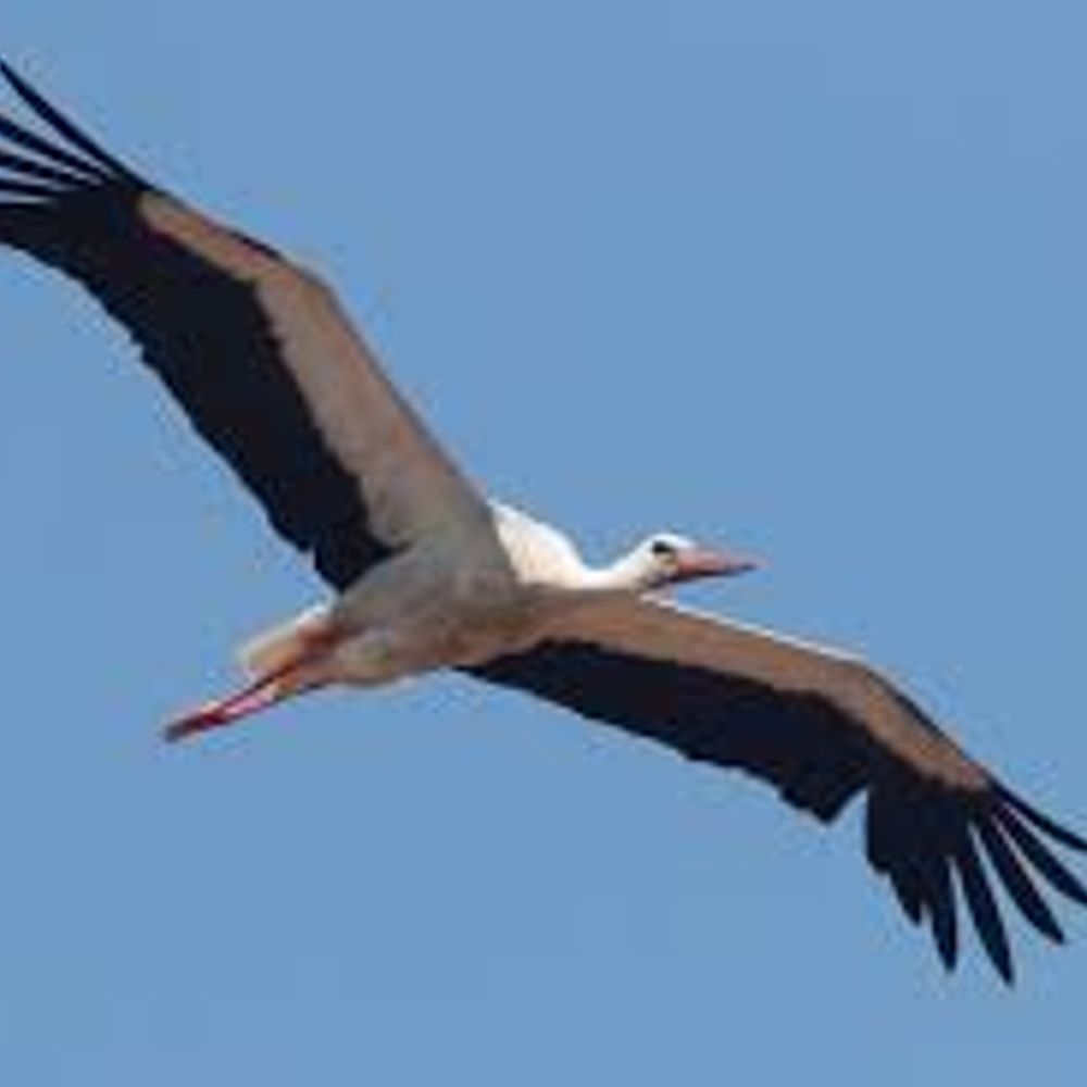 SkyAir
