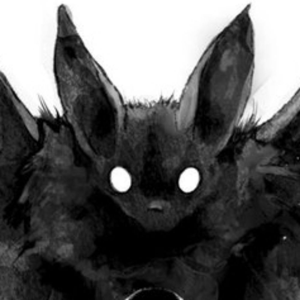 a bat 🦇