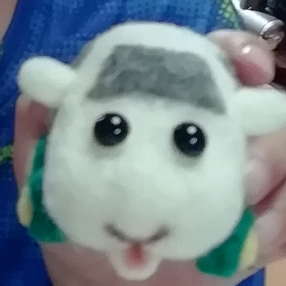 シロモ🐹