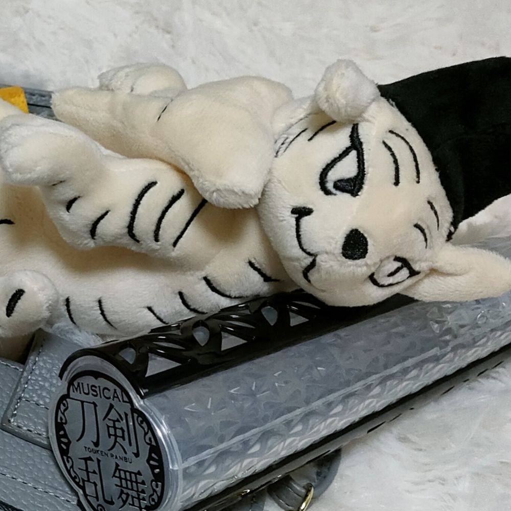 ささめ