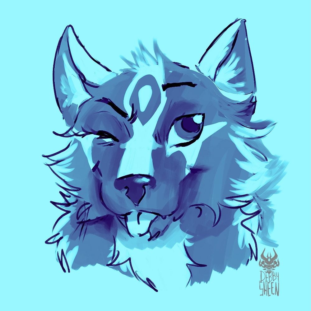 Zev