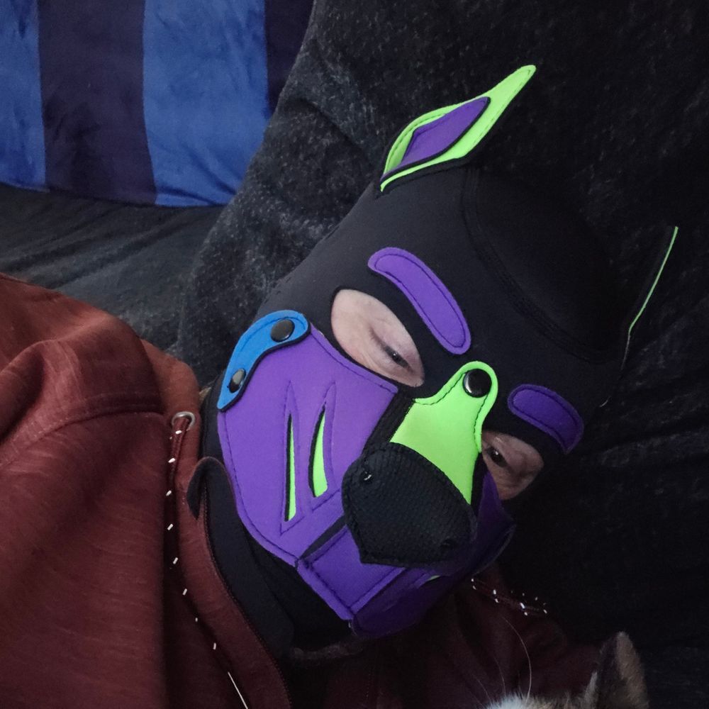 Alpha Pup Tizzy 🐾🐾🐺💜💚