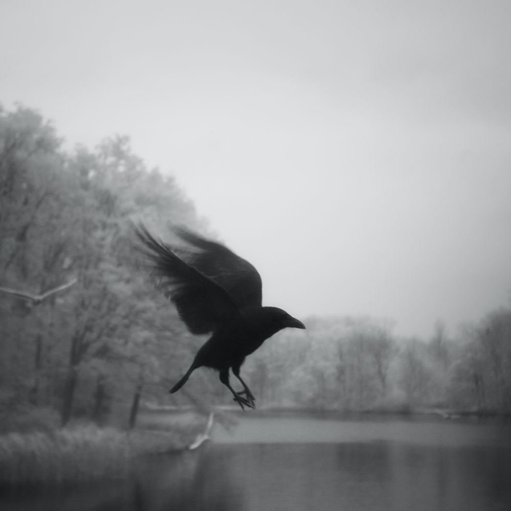 Philippe Moroux