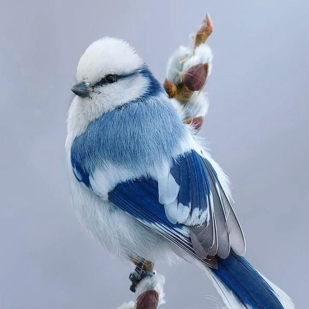 소요