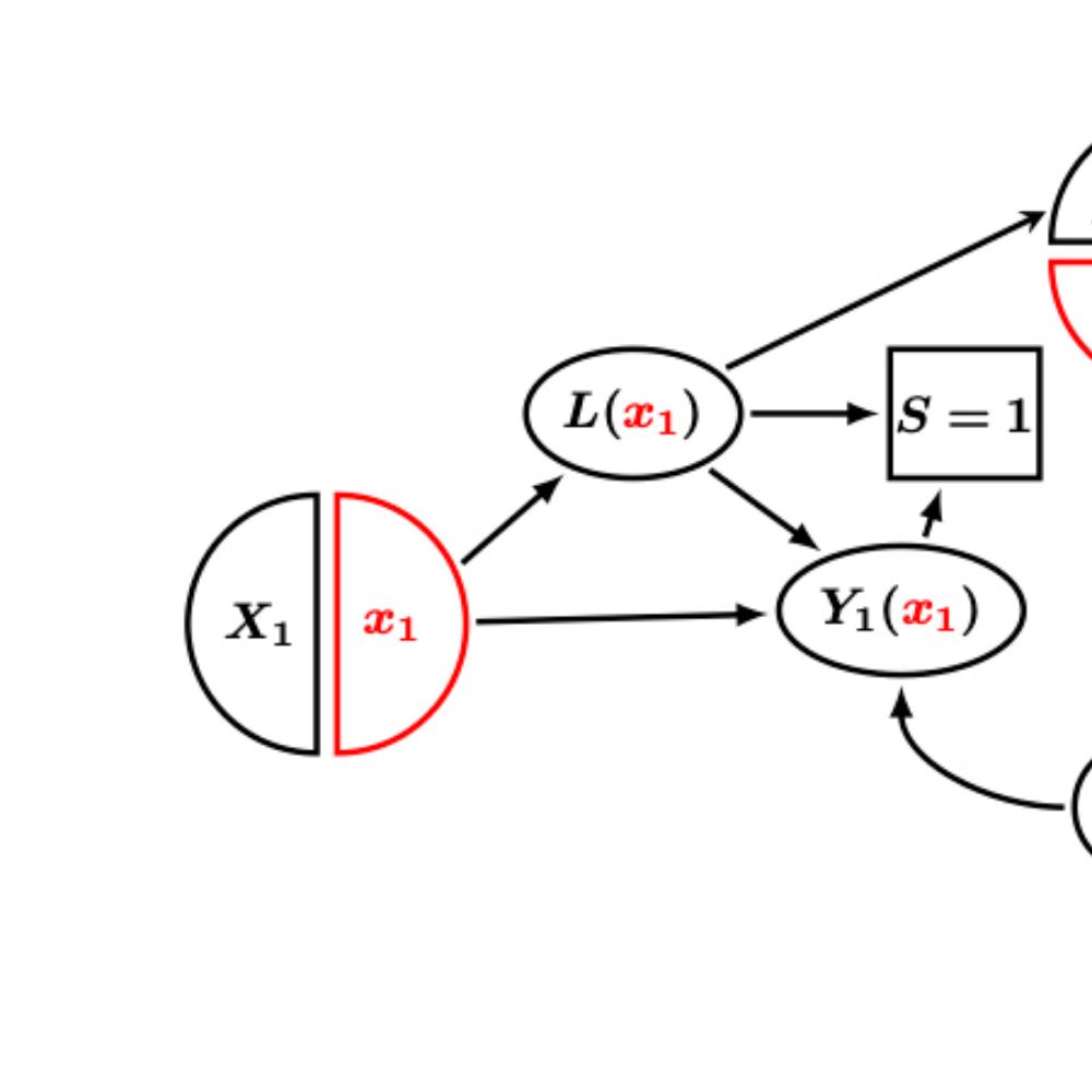Causal Inference Bot