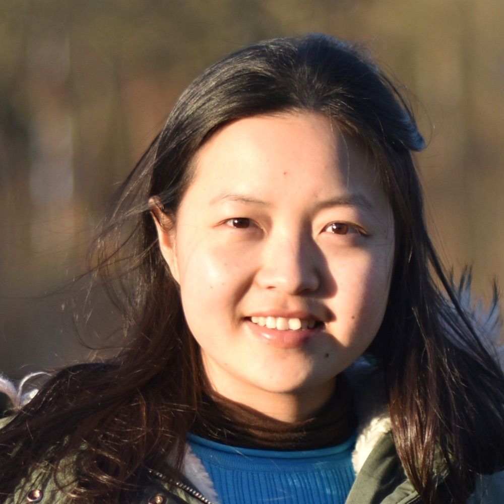 Deyi Wang