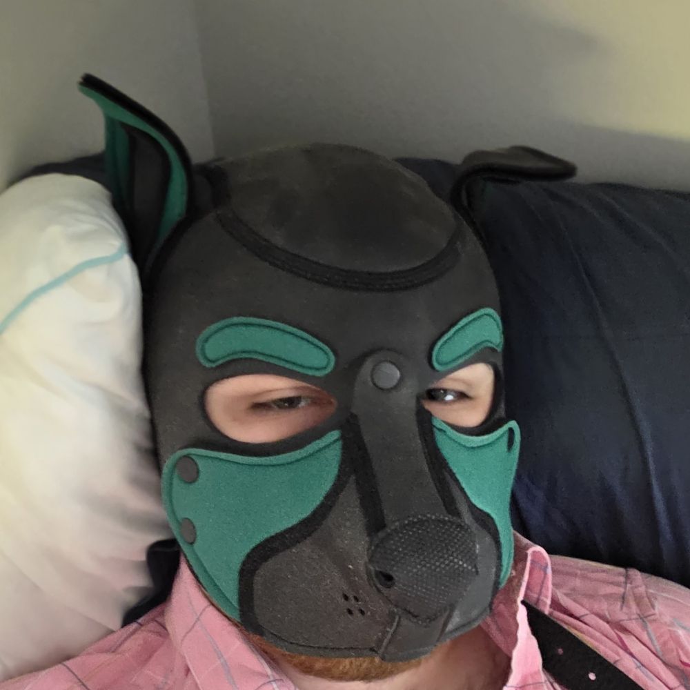 Pup Avery