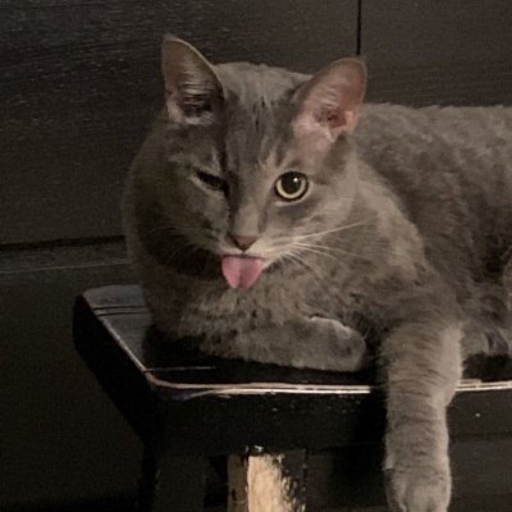 Kynwz