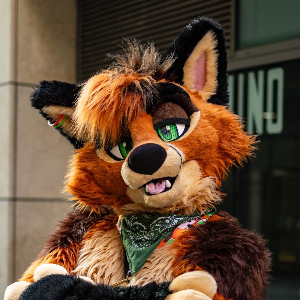 Yuvi Fox