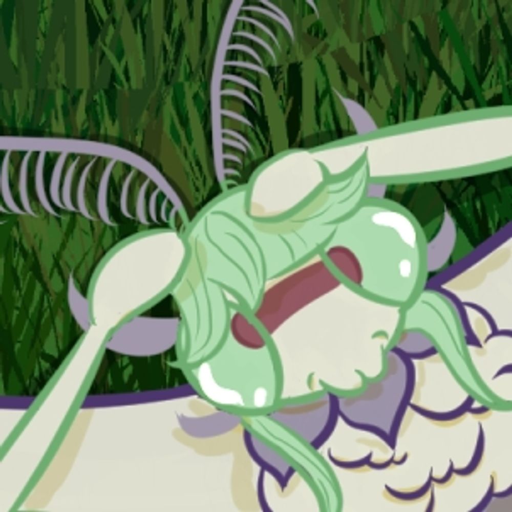 comet (tableturf guy)