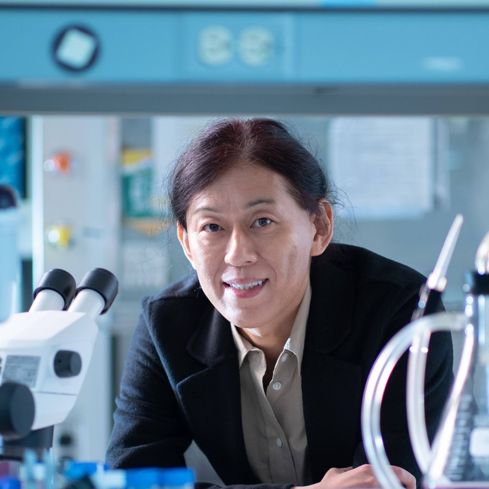 Toshi Yokota