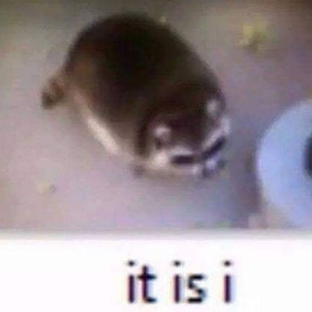 YeetYoshi