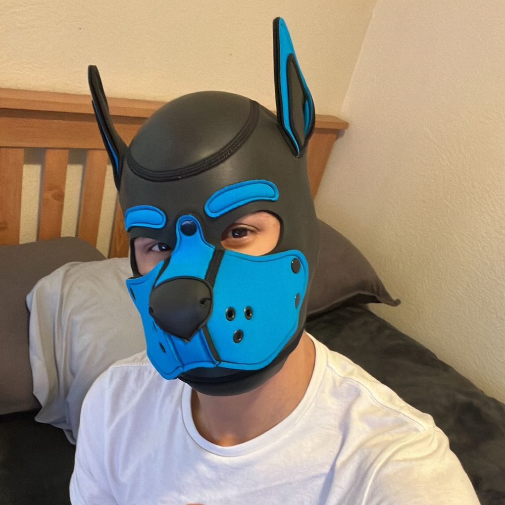 Pup Runner