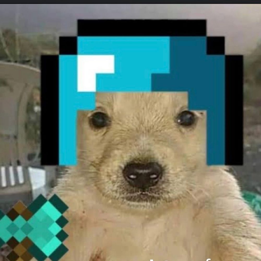 teixeiraxz.