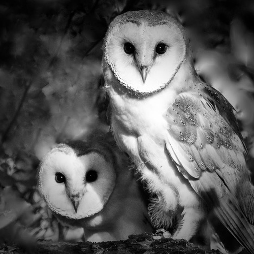 2 Barn Keepers