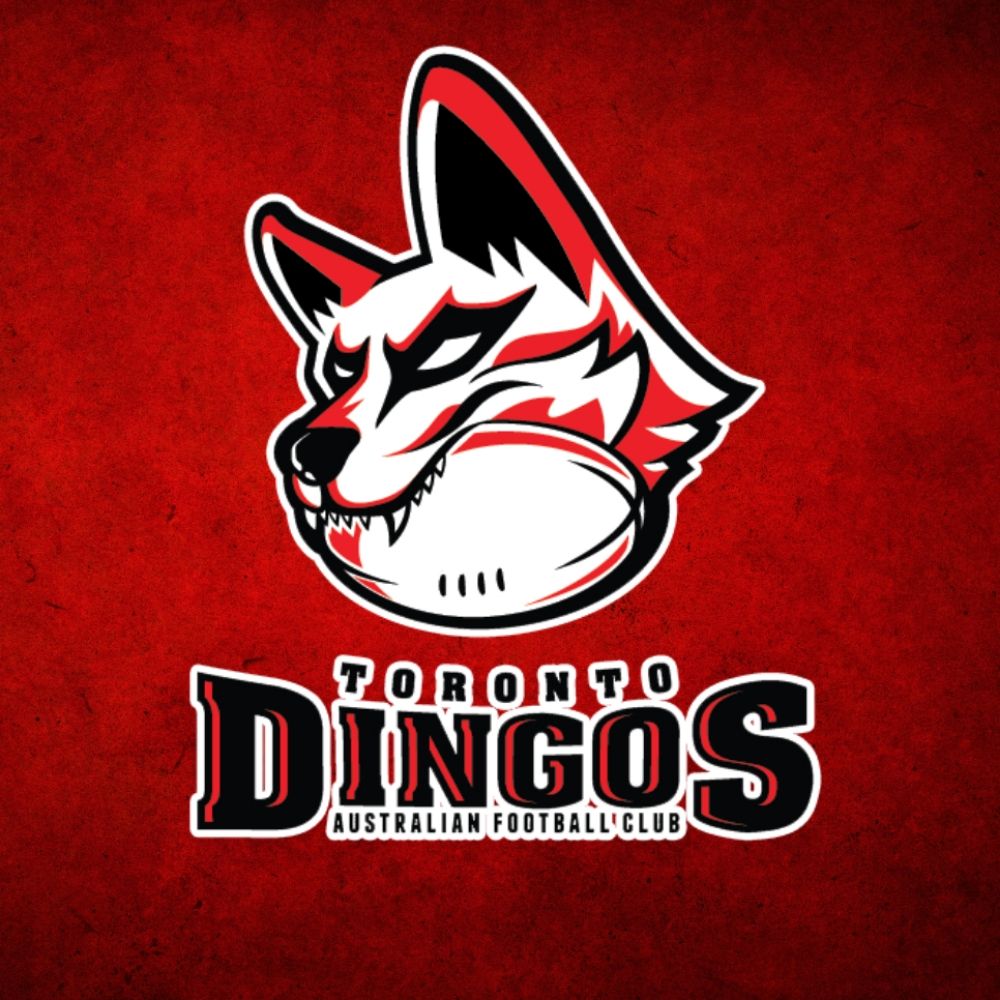 Toronto Dingos FC