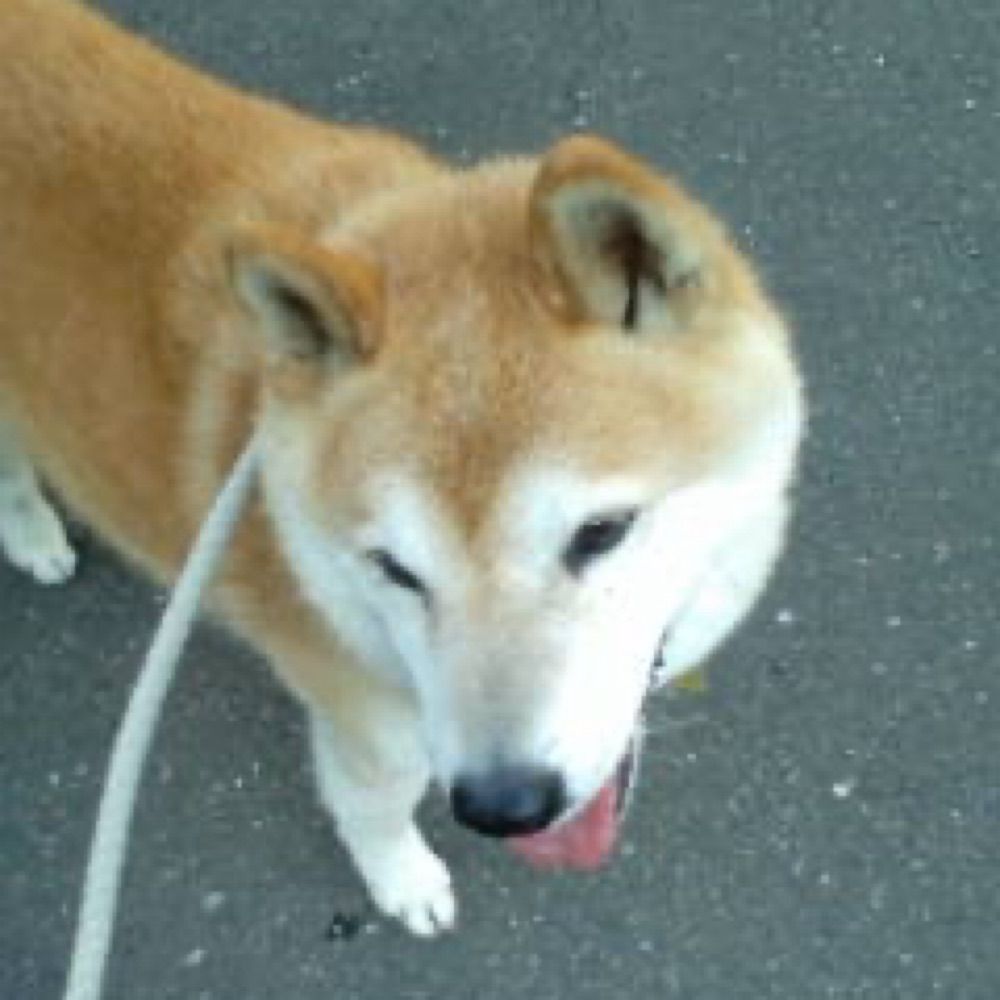 AONA