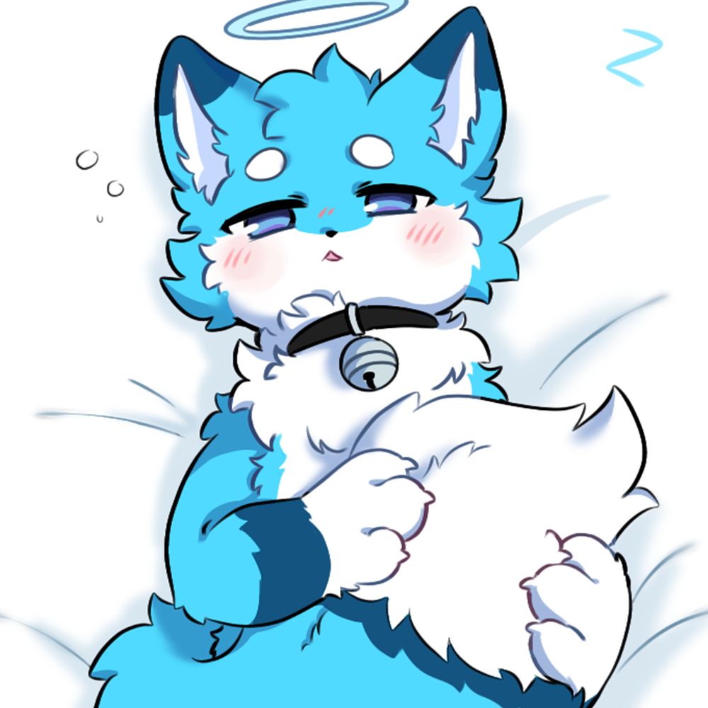 Shingo Zin🦊