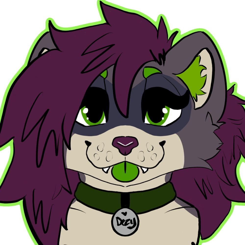 DezyTheRaccoon