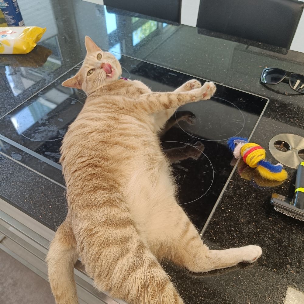Hilbert