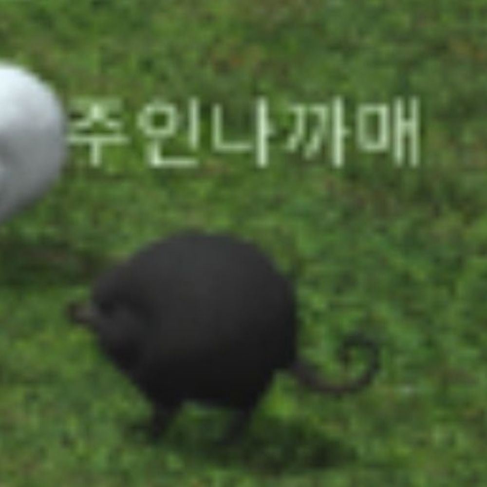 록마