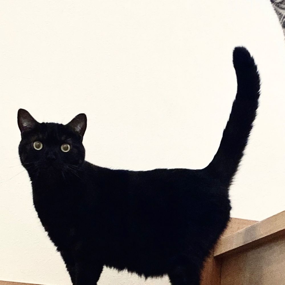 MO