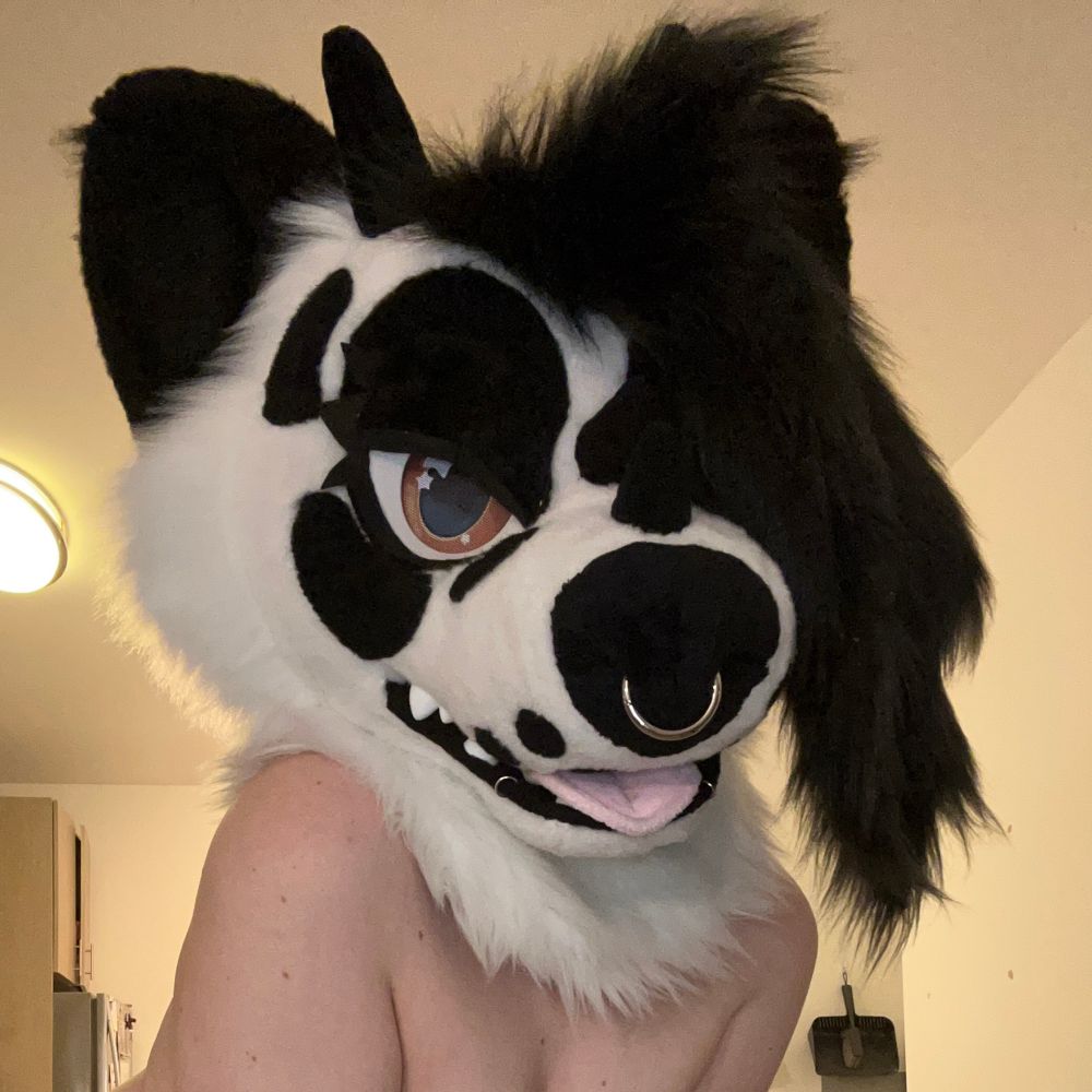 Slutty Oreo Puppy🔞🔜 Furrydelphia 2025