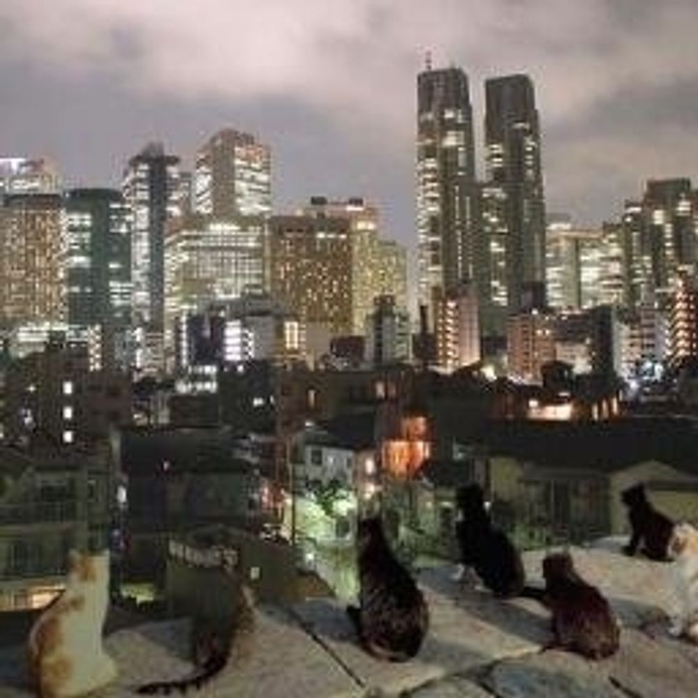 ネタ帳