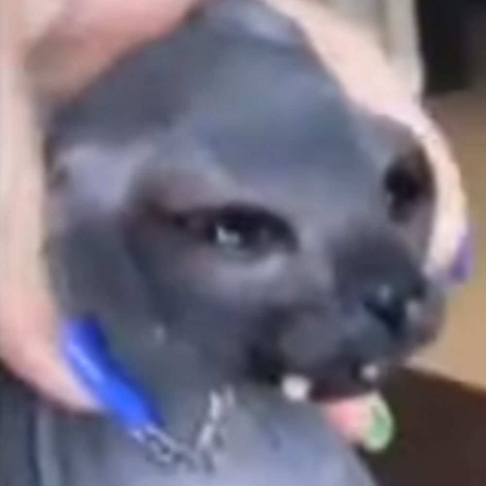 Nokra