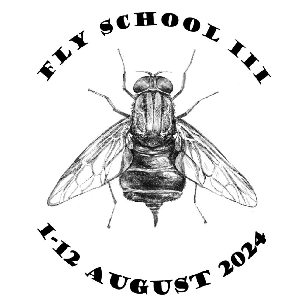 Fly School