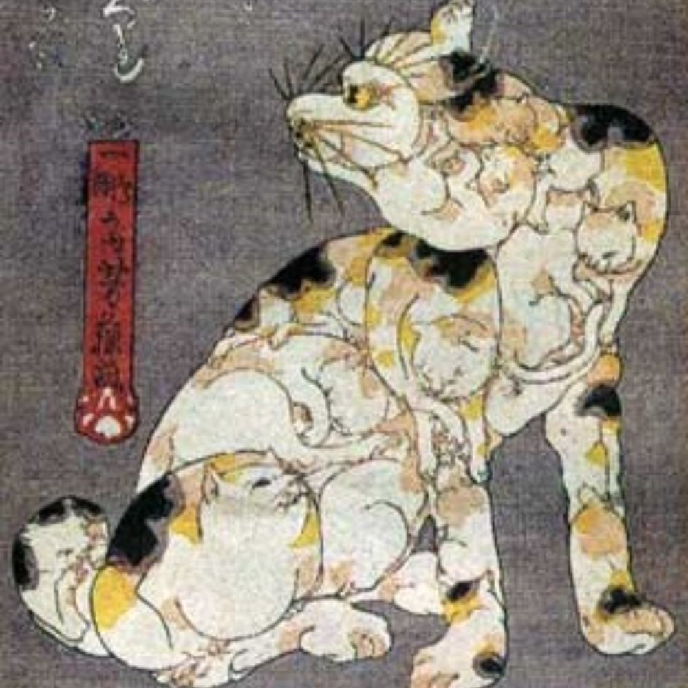 猫の泉