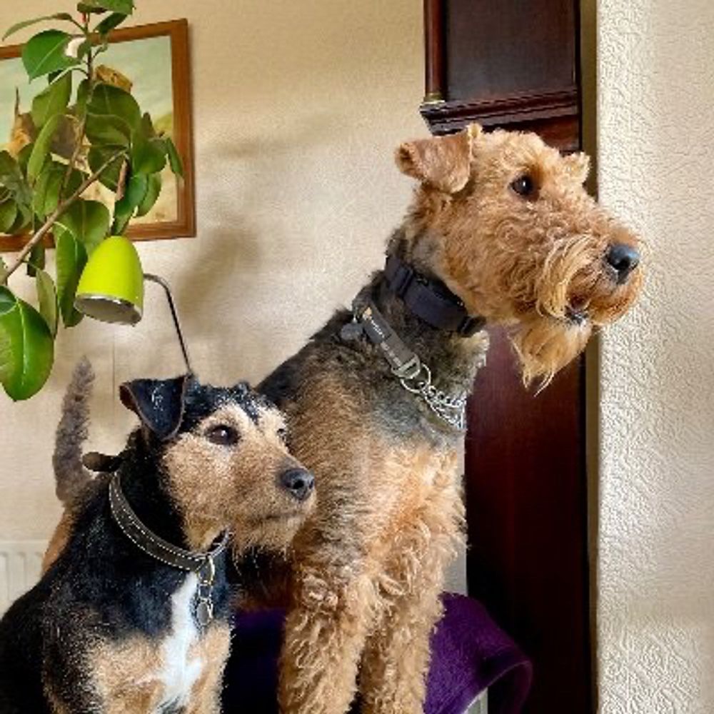 Ralf Bat 🦇 Dog & Margo (Moo)
