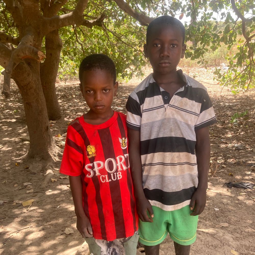 Alfousainey