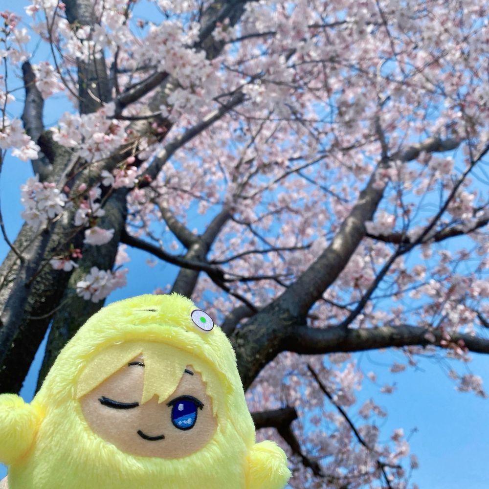 まる*