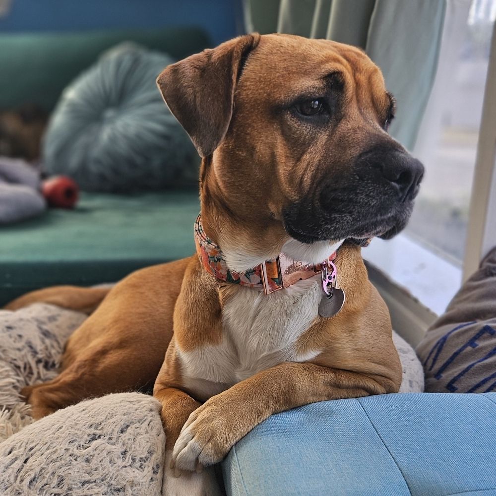 Nora