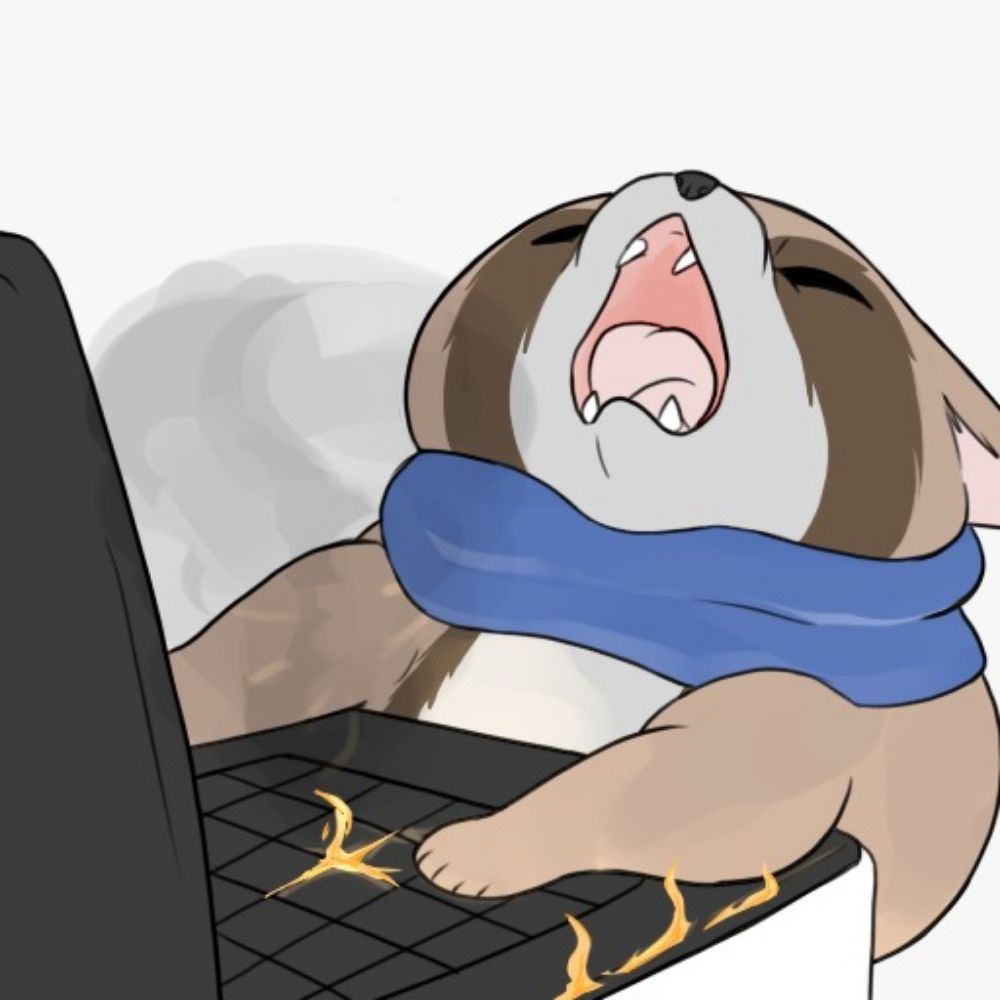 AstralRaccoon
