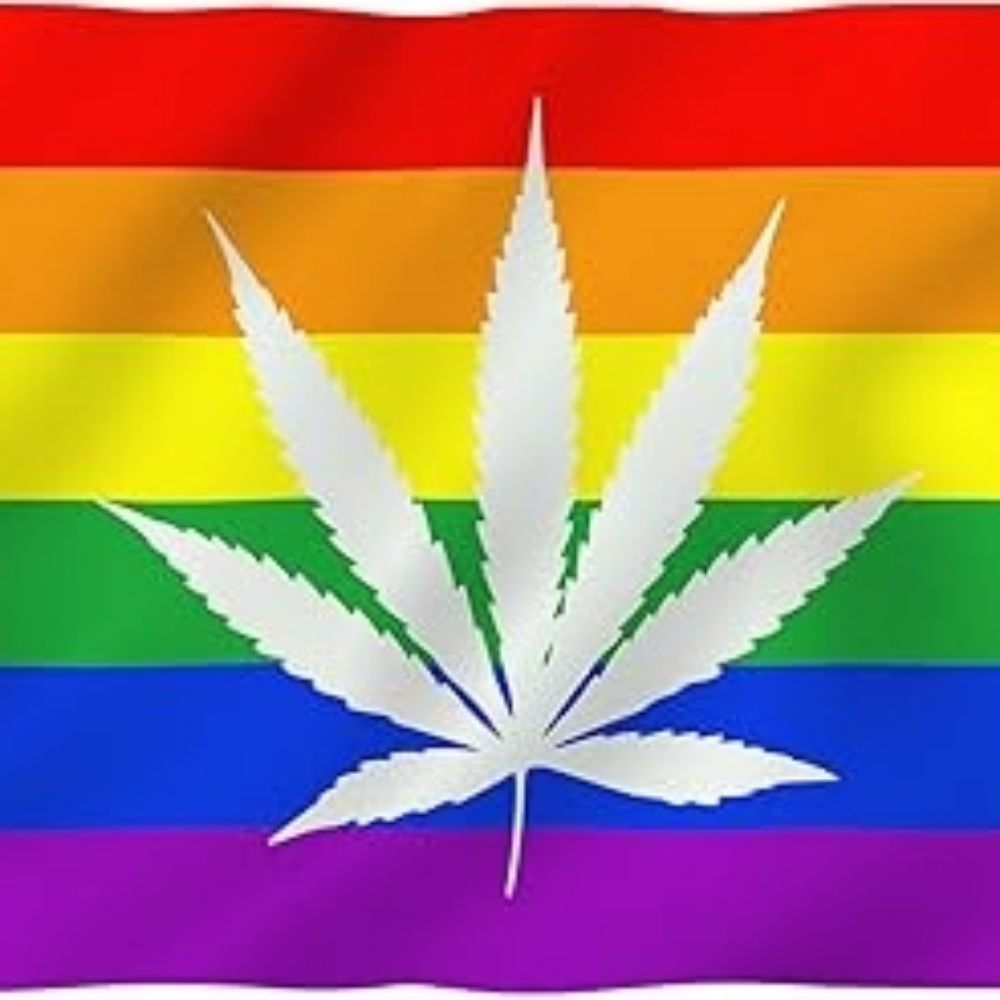 Pot Enthusiast 420