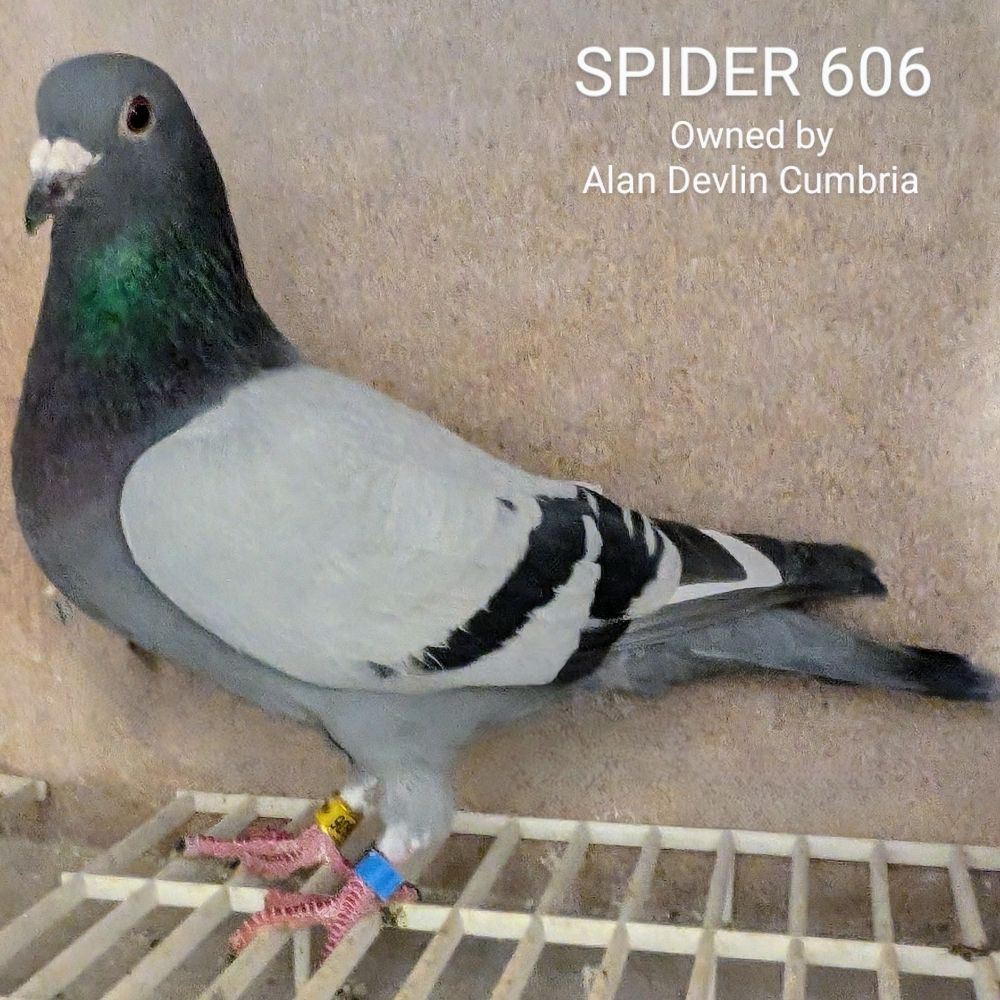 Alan Devlin