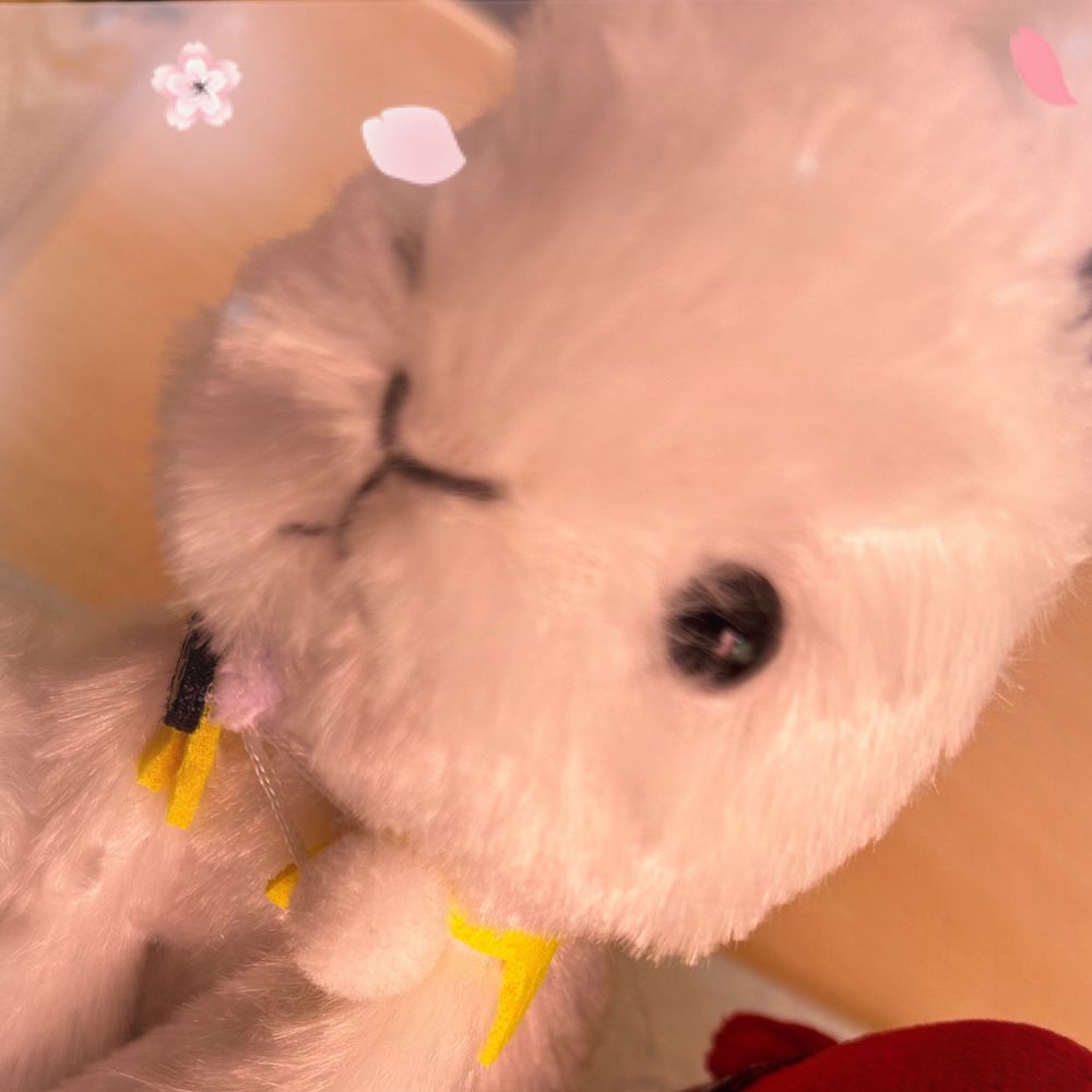 あもう