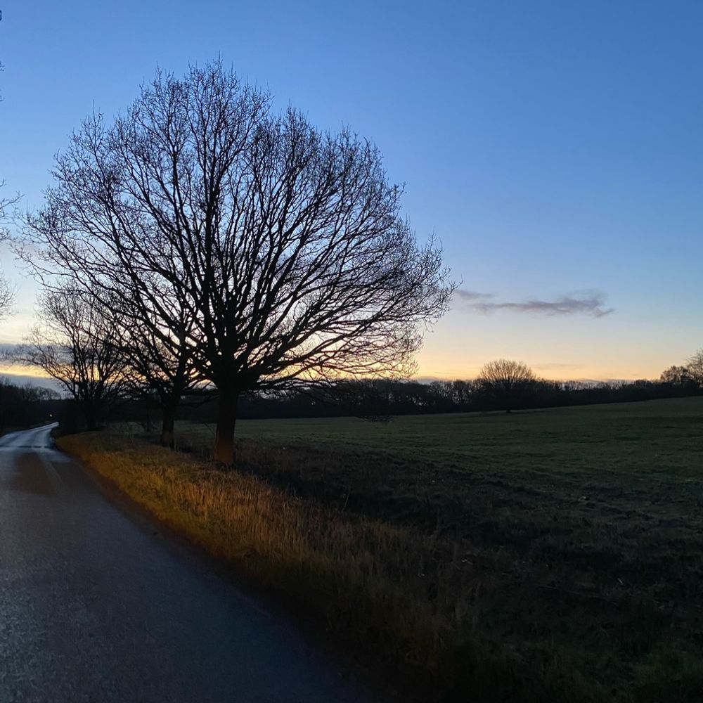 Nomansland Common
