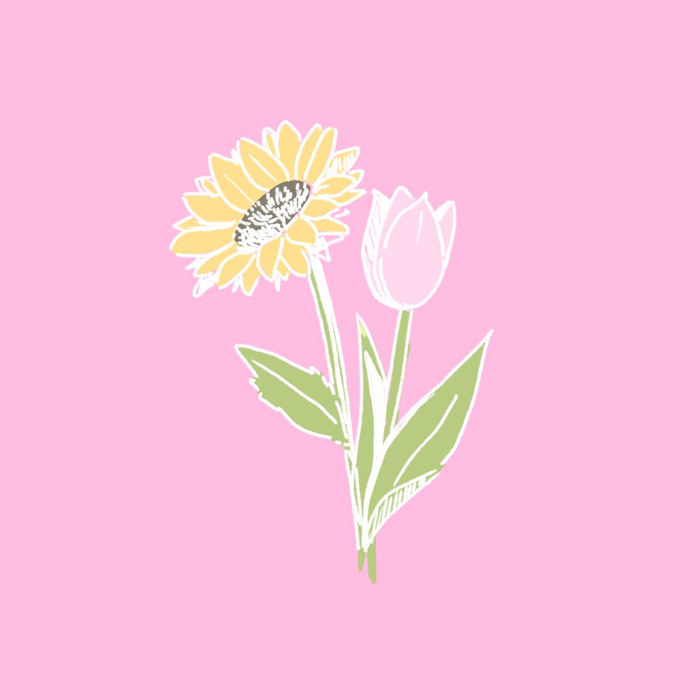 棉たろう