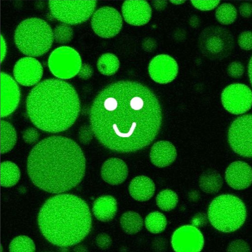 Smart Cells Unisi
