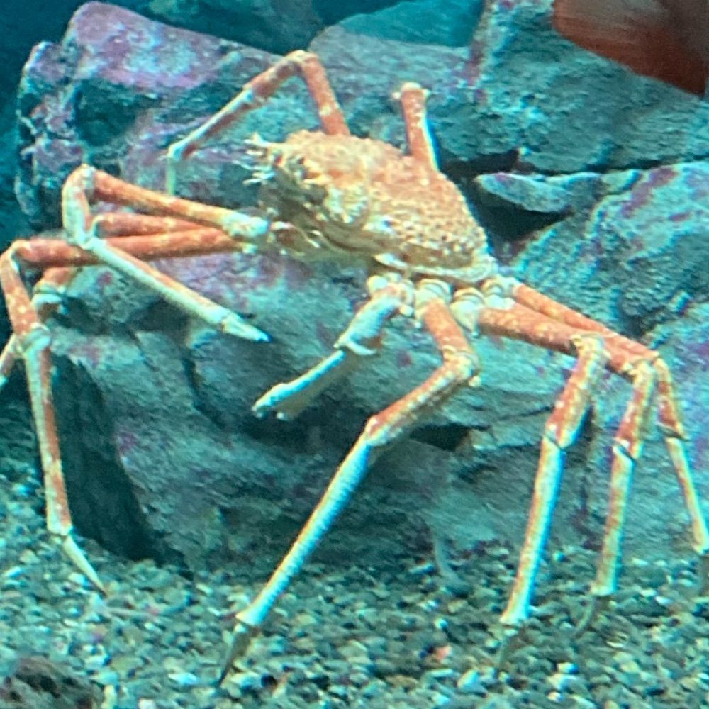 53
