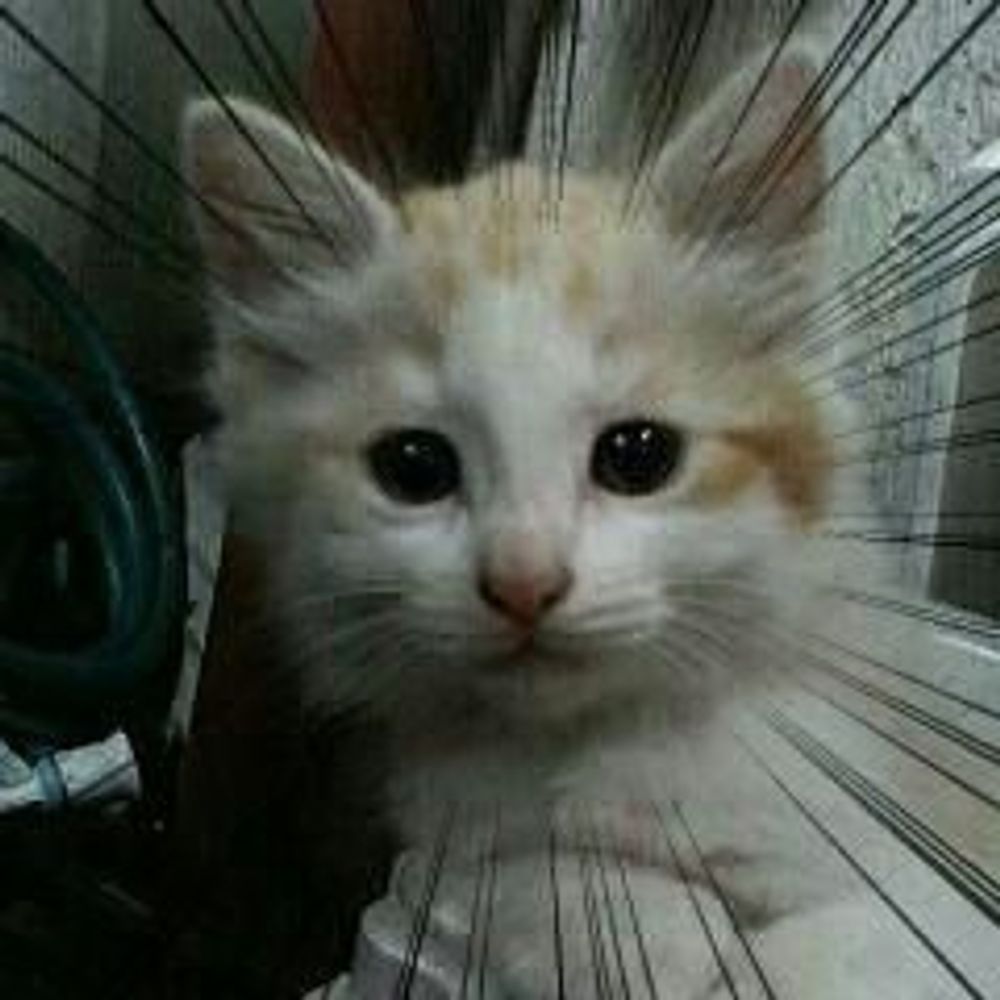 ponkichi2